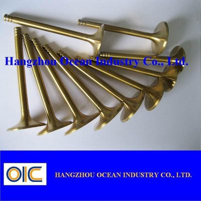 Auto Valve Use For Ford, Buick, Volvo, Audi, Peugeot, Renault, Skoda Toyota, Nissan, Lexus