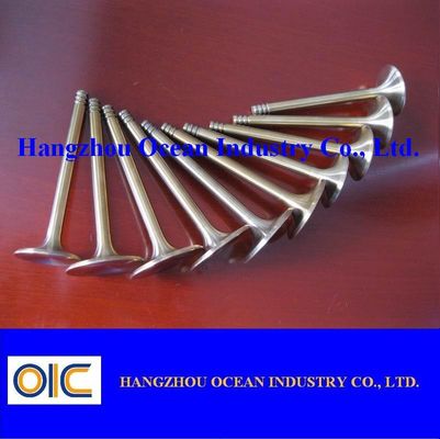 Auto Valve Use For Ford, Buick, Volvo, Audi, Peugeot, Renault, Skoda Toyota, Nissan, Lexus