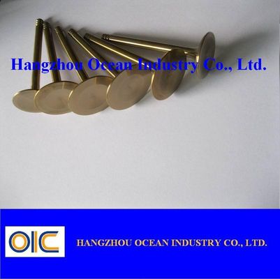 Auto Valve Use For Ford, Buick, Volvo, Audi, Peugeot, Renault, Skoda Toyota, Nissan, Lexus